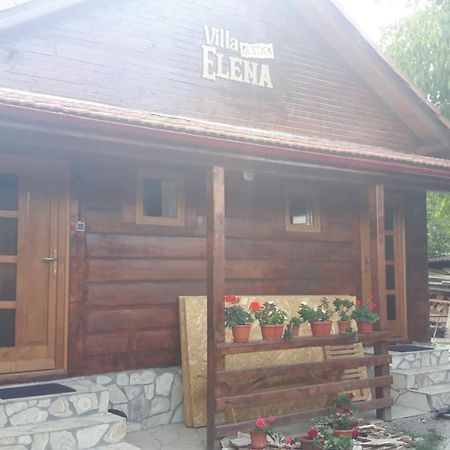 Pensiunea Tarina Suncuius Exterior foto